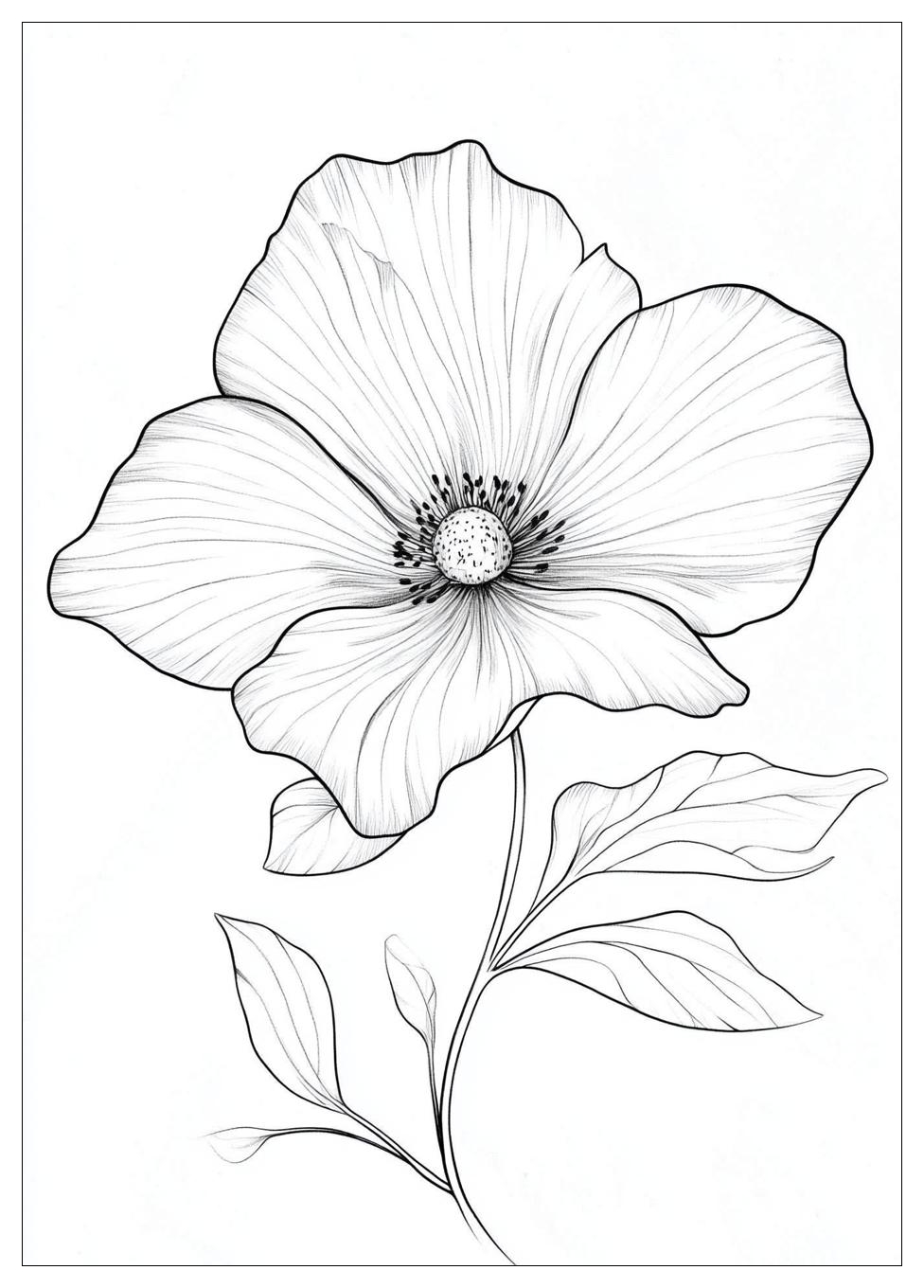 realistic_flower_coloring_pages_1