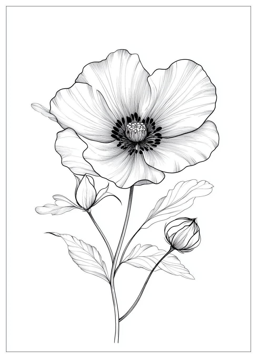 realistic_flower_coloring_pages_12