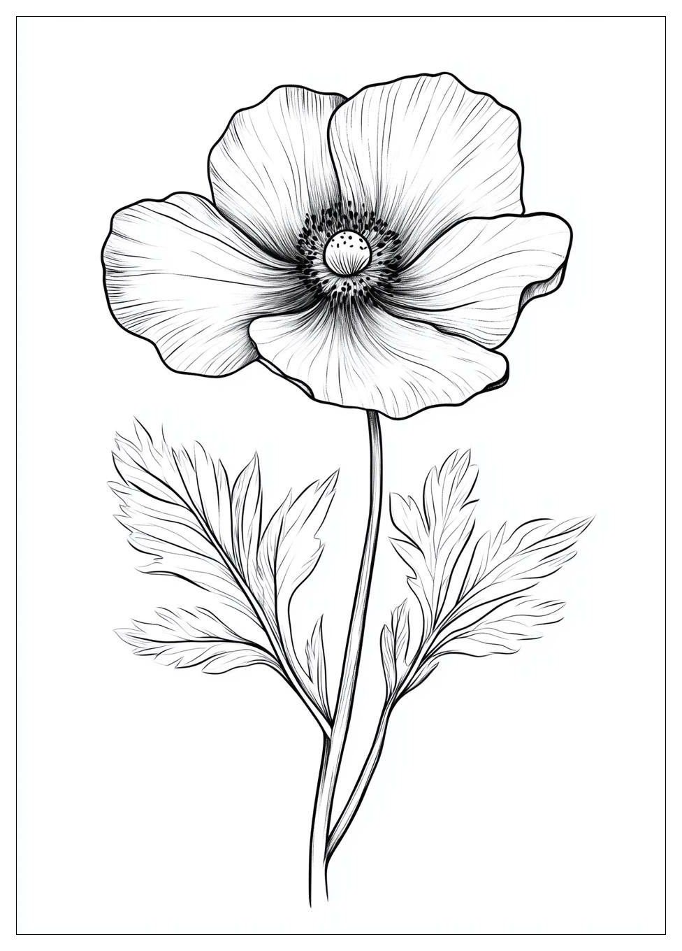 realistic_flower_coloring_pages_16