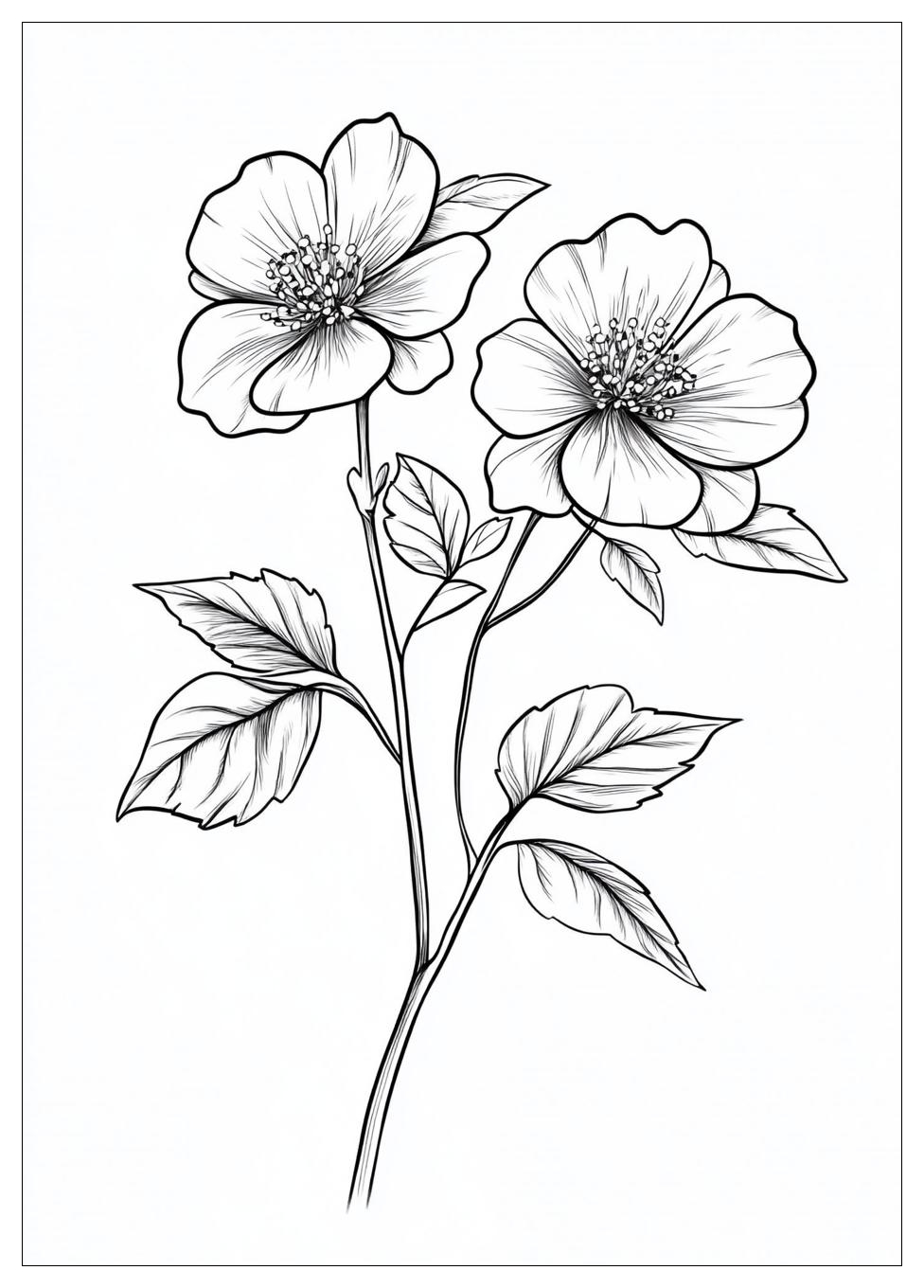 realistic_flower_coloring_pages_5