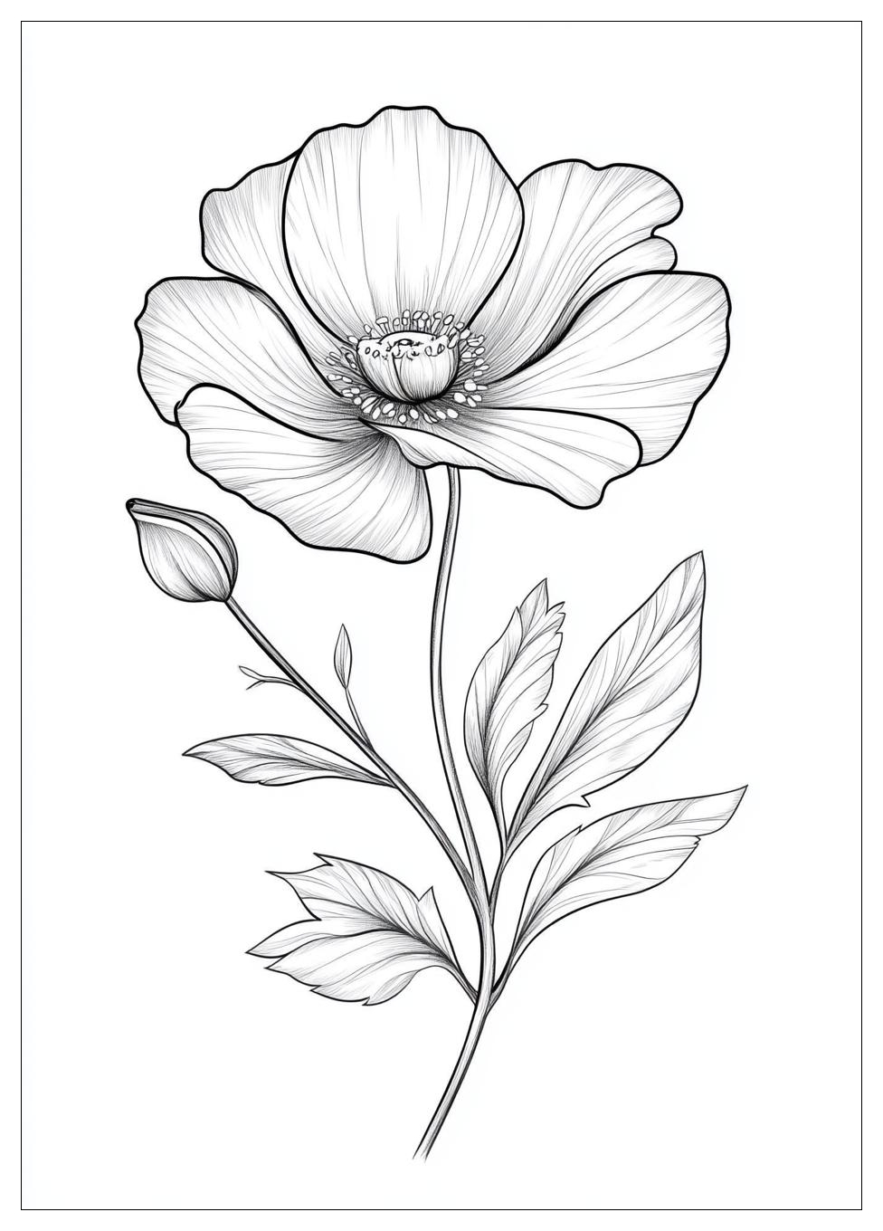 realistic_flower_coloring_pages_7