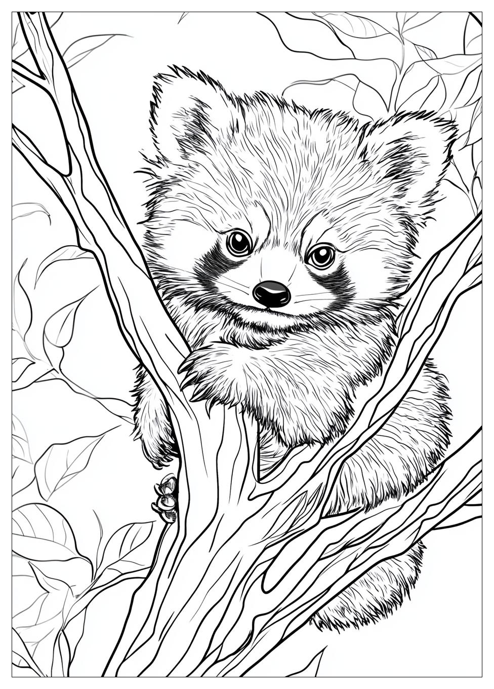 red_panda_coloring_pages_1