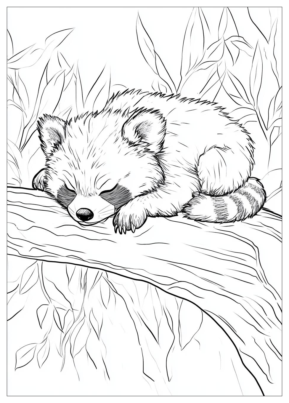 red_panda_coloring_pages_16