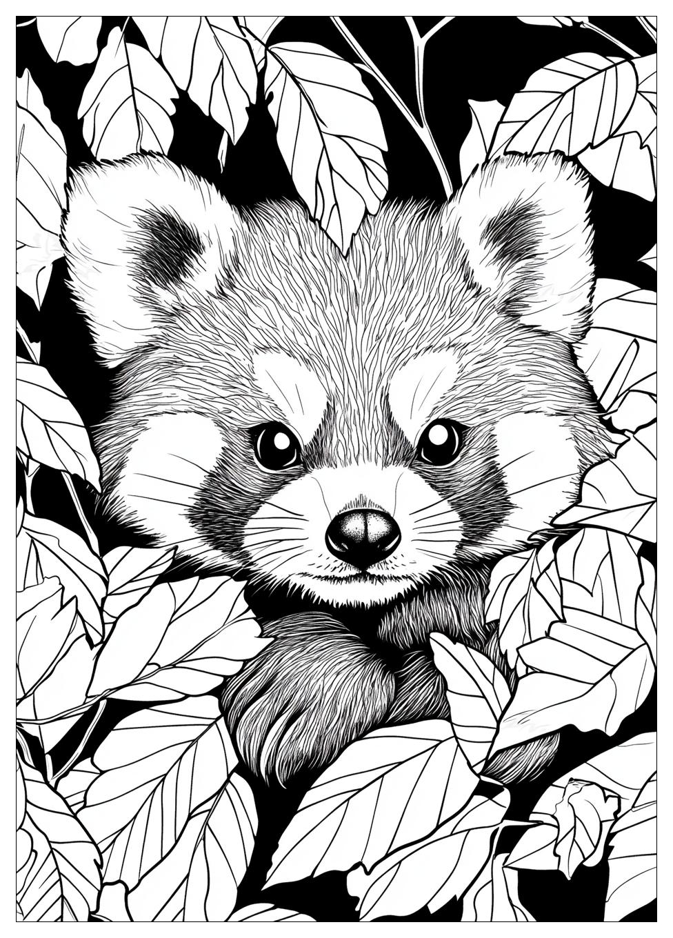 red_panda_coloring_pages_18