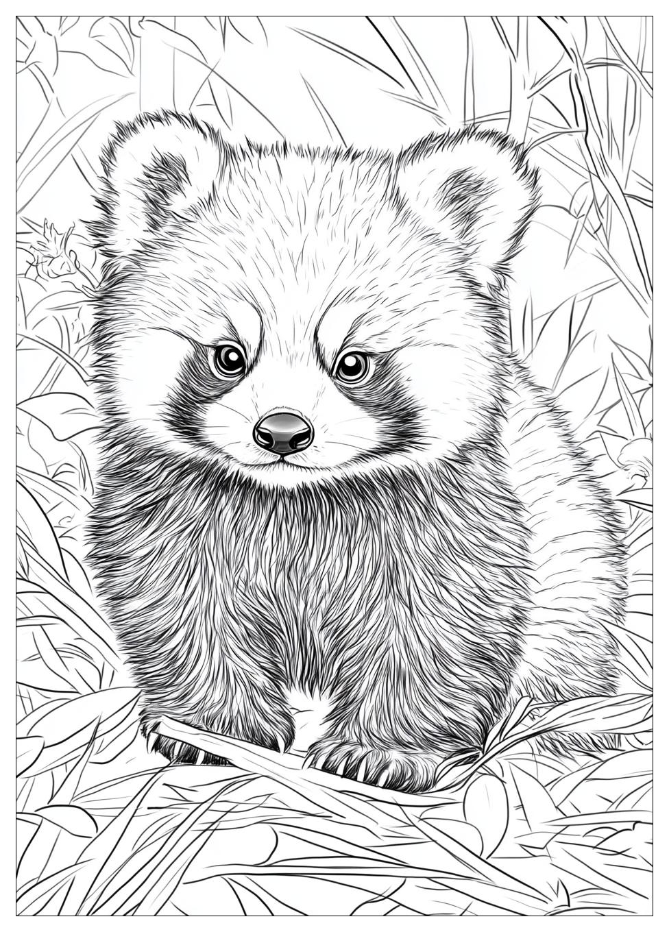 red_panda_coloring_pages_22