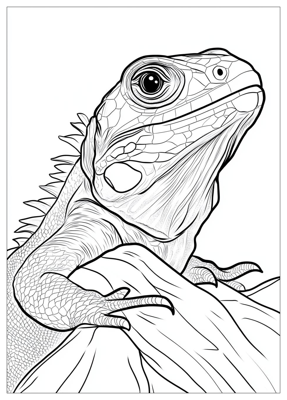 reptile_coloring_pages_14