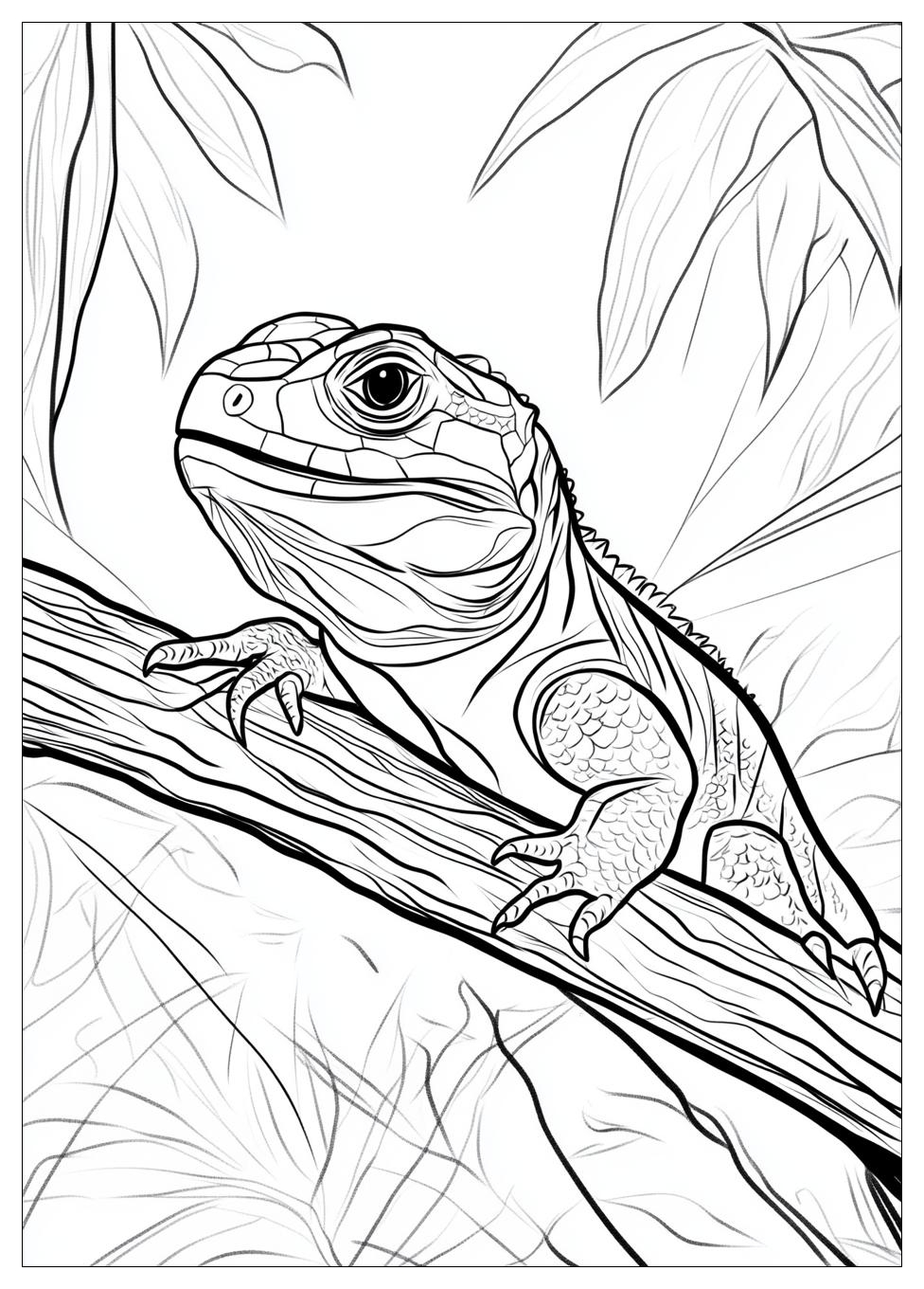 reptile_coloring_pages_18