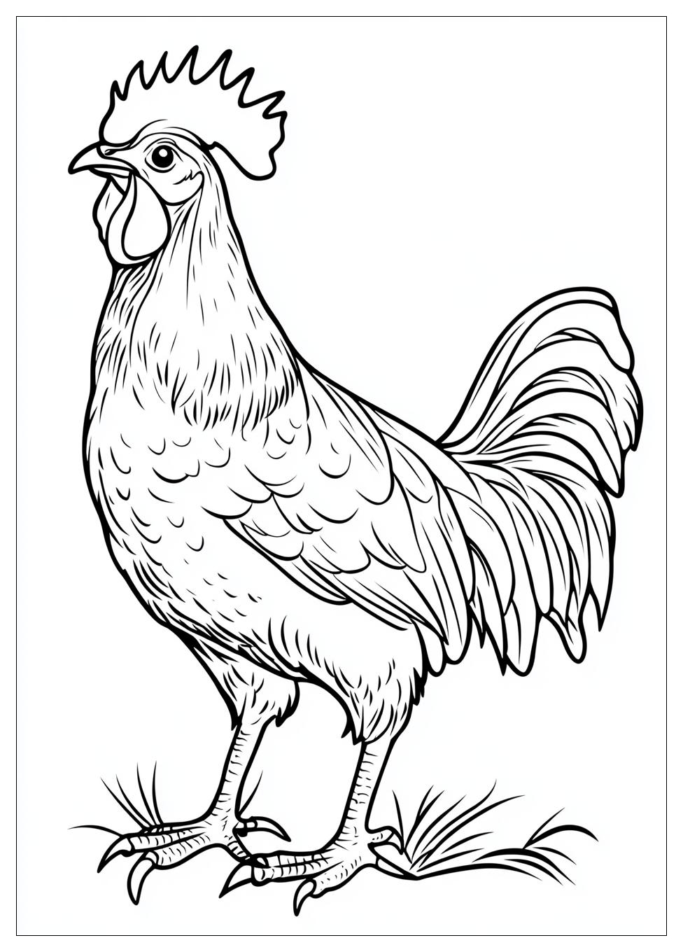 rooster_coloring_pages_15