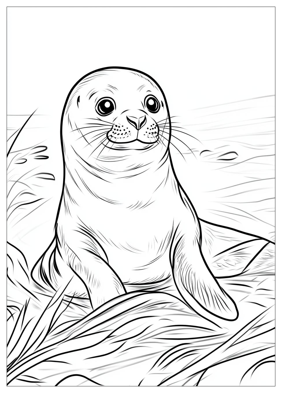 seal_coloring_pages_22