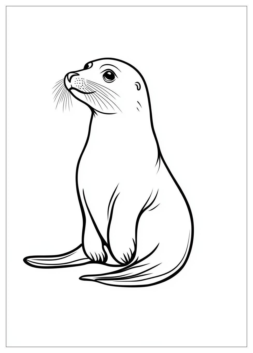 seal_coloring_pages_5