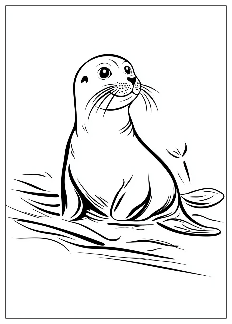 seal_coloring_pages_6