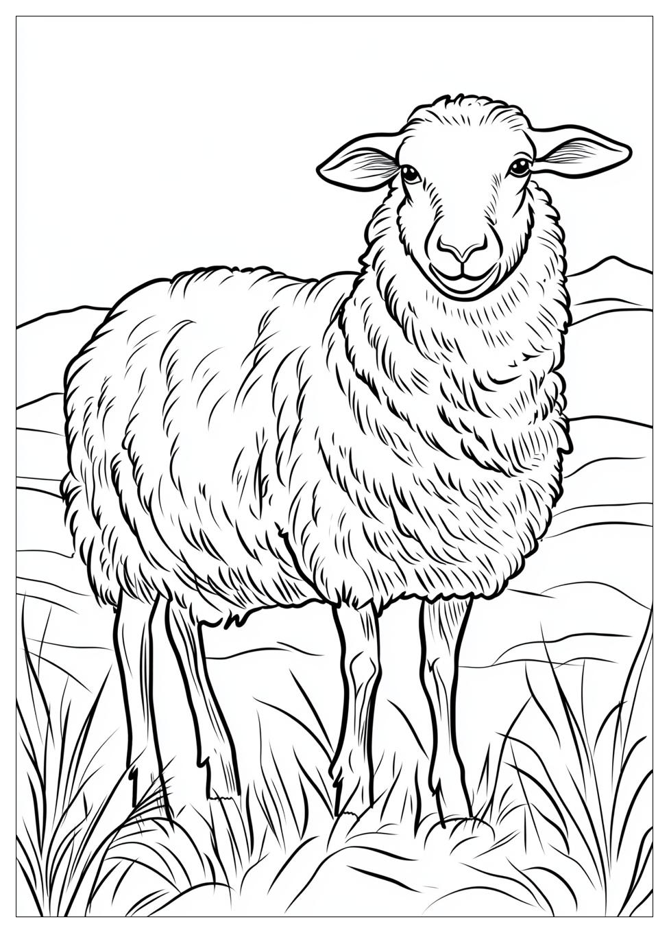 sheep_coloring_pages_13