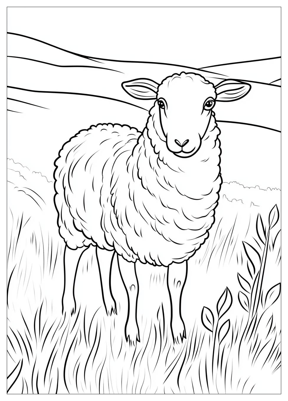 sheep_coloring_pages_4