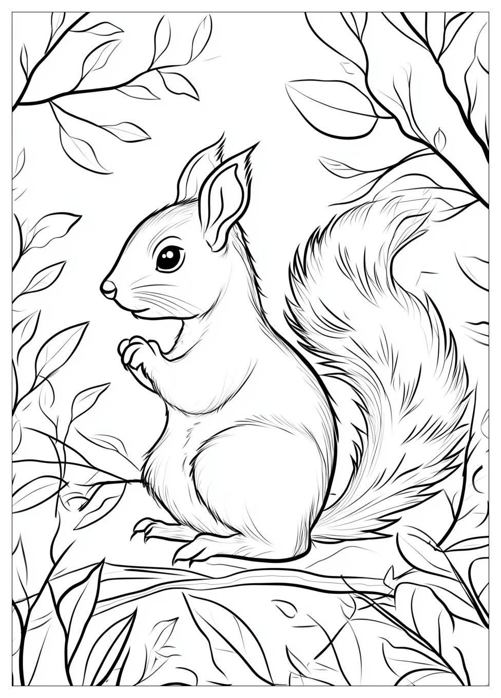 squirrel_coloring_pages_17