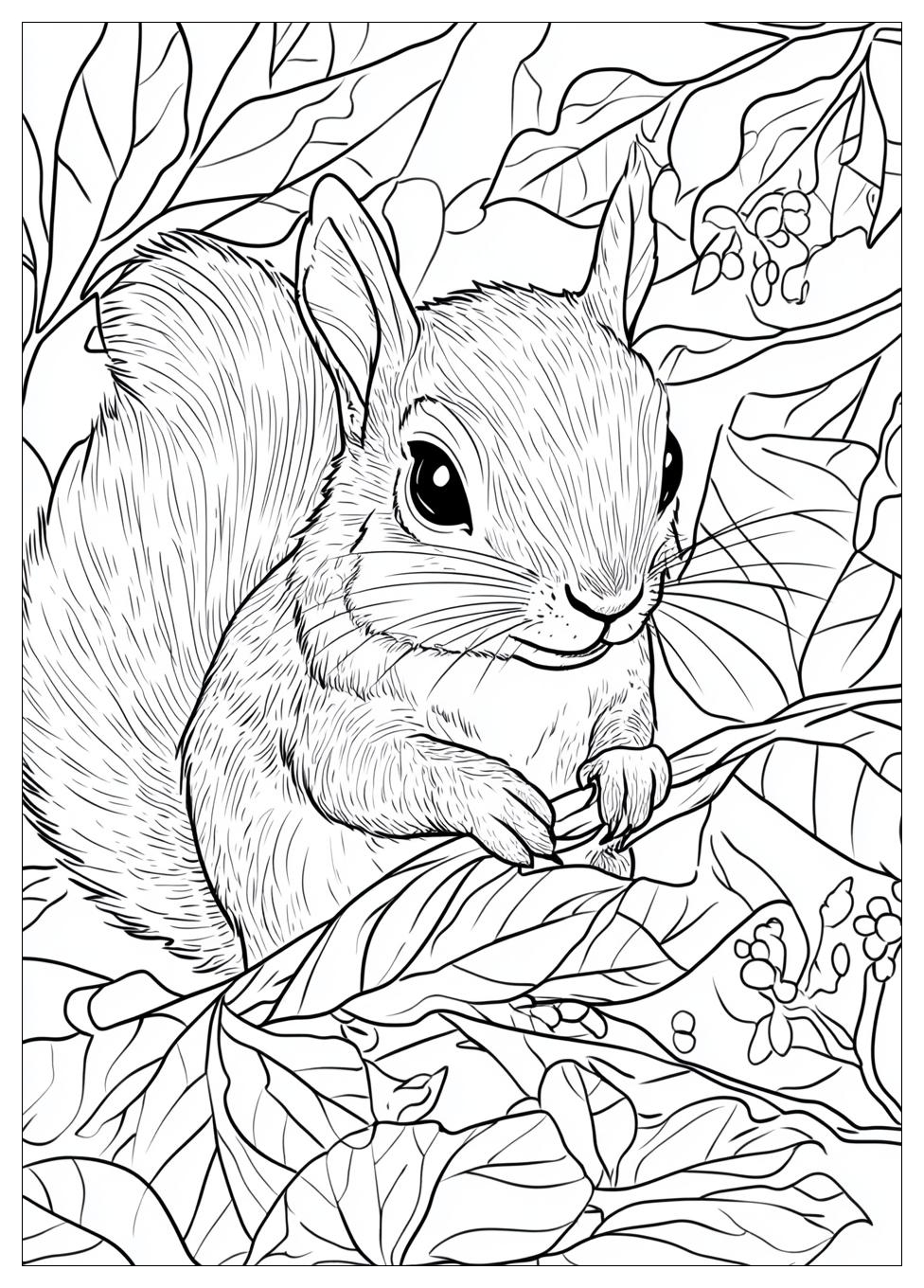 squirrel_coloring_pages_21