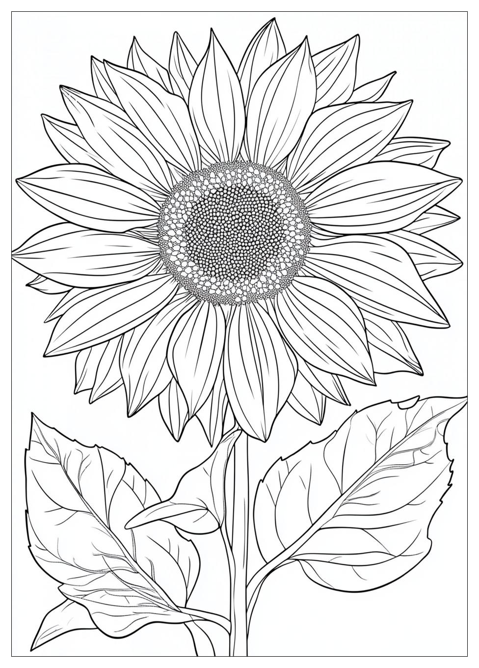 sunshine_coloring_pages_22