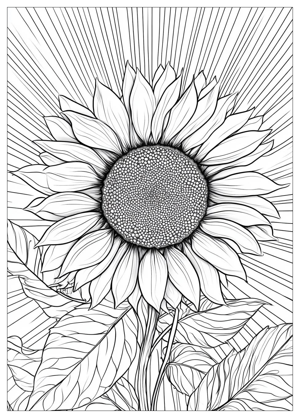 sunshine_coloring_pages_24