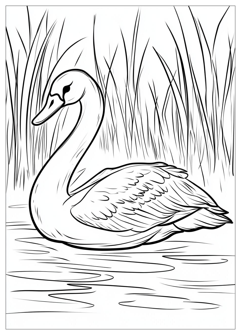 swan_coloring_pages_10