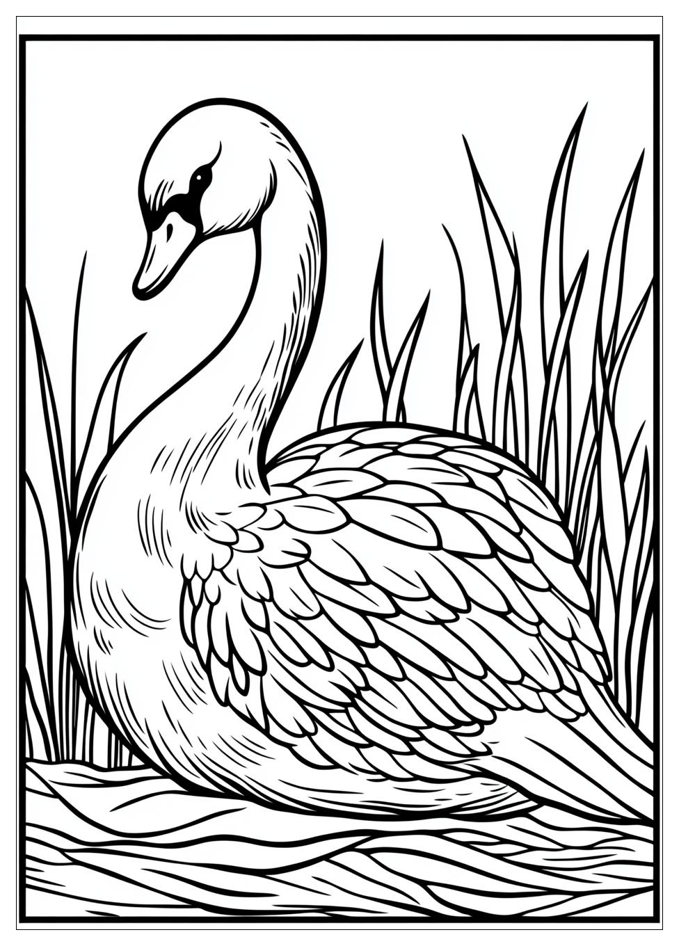 swan_coloring_pages_13