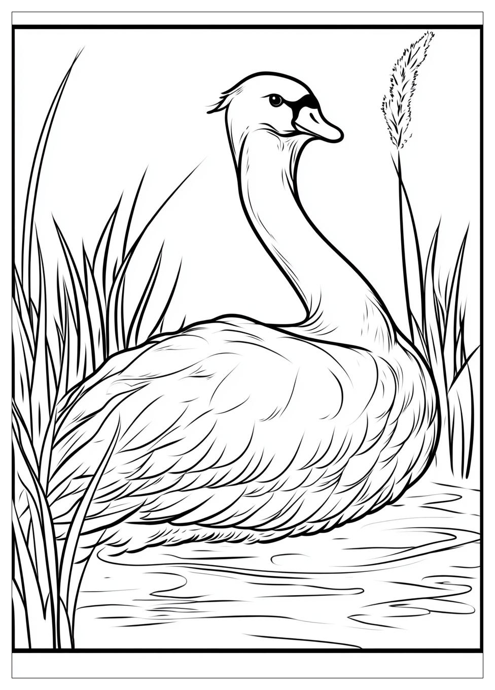 swan_coloring_pages_16