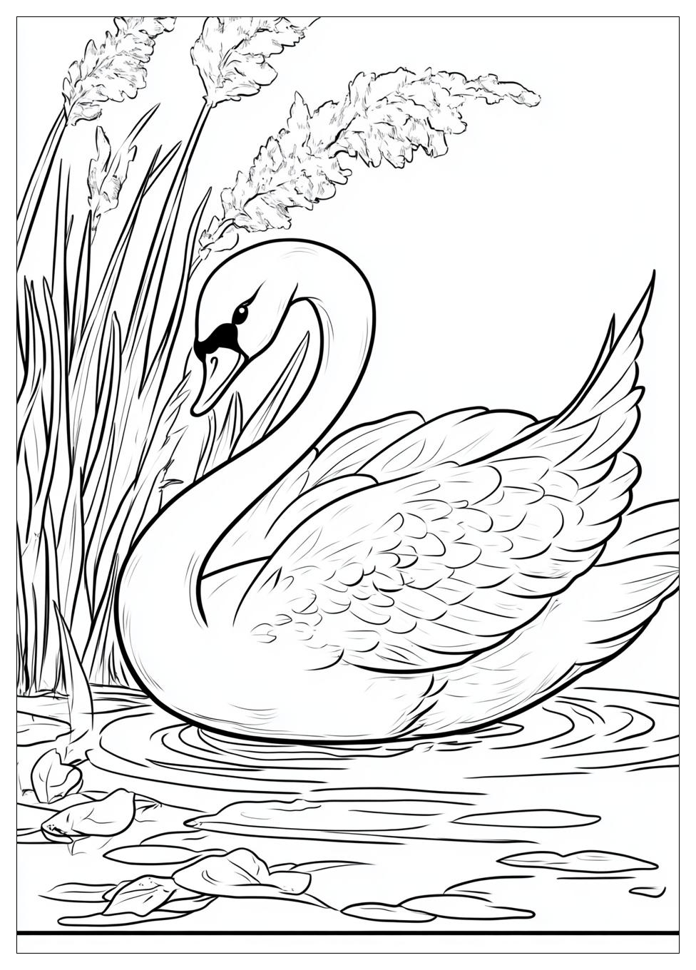 swan_coloring_pages_20