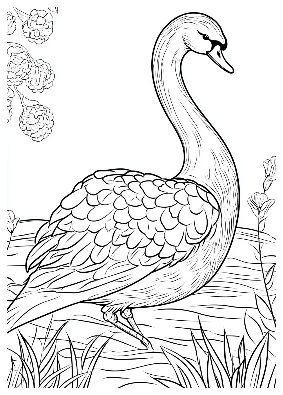 swan_coloring_pages_6