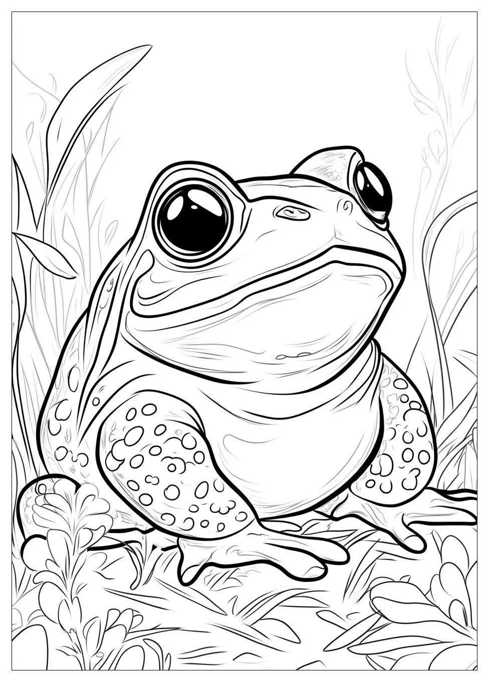 toad_coloring_pages_13