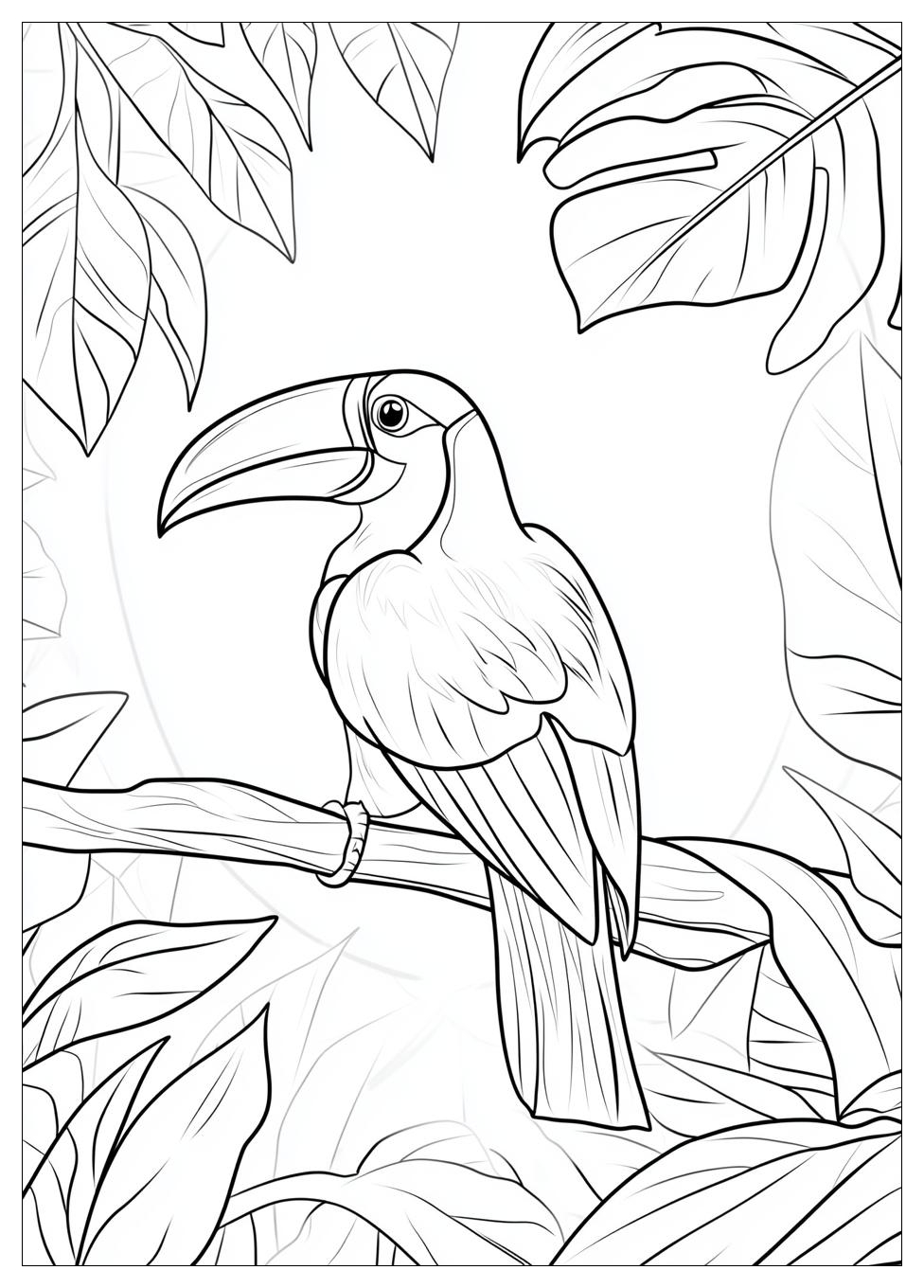 toucan_coloring_pages_1