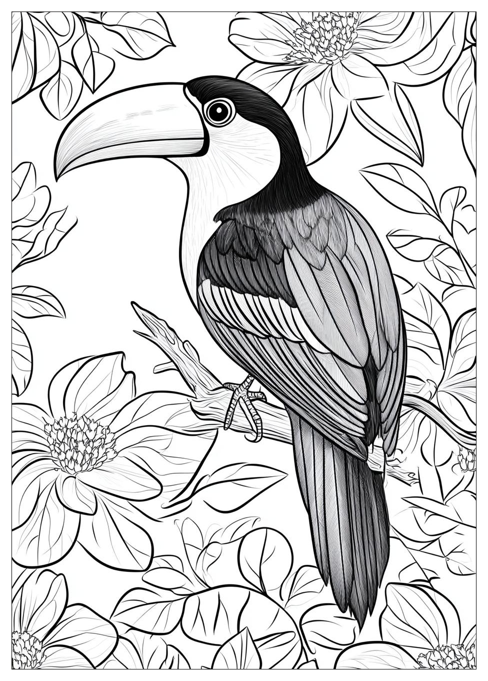 toucan_coloring_pages_16