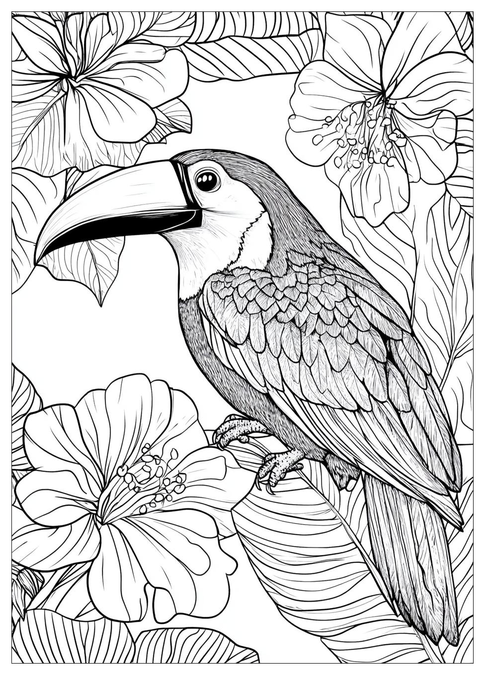 toucan_coloring_pages_24