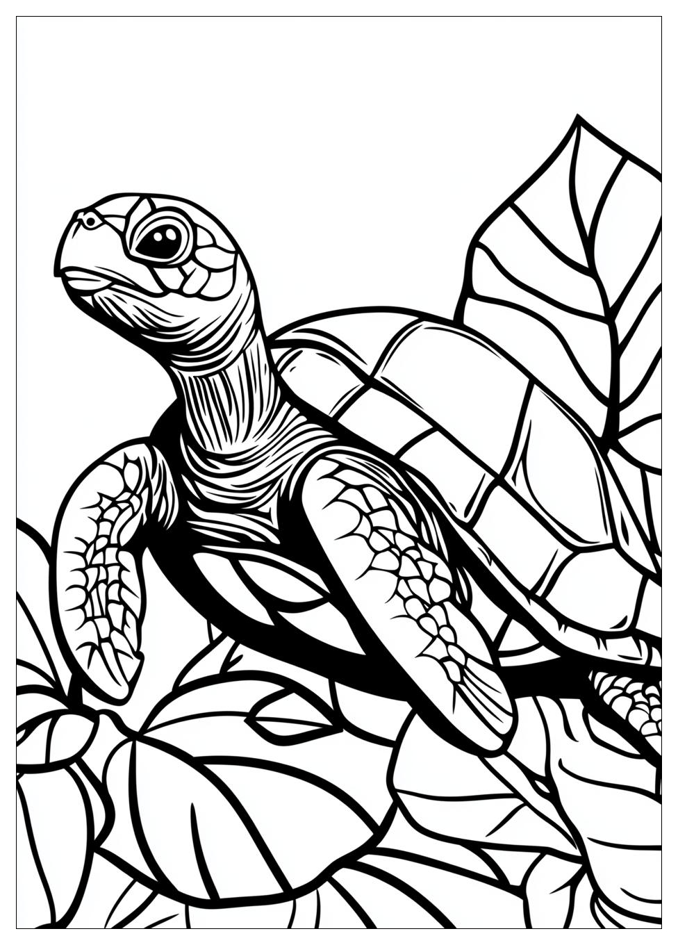 turtle_coloring_pages_1