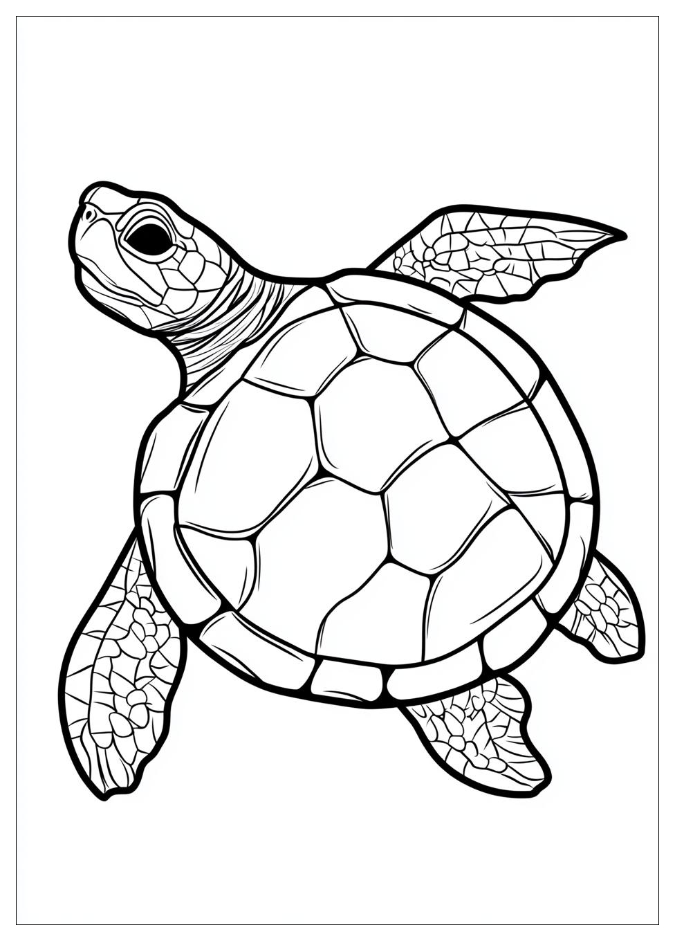 turtle_coloring_pages_12