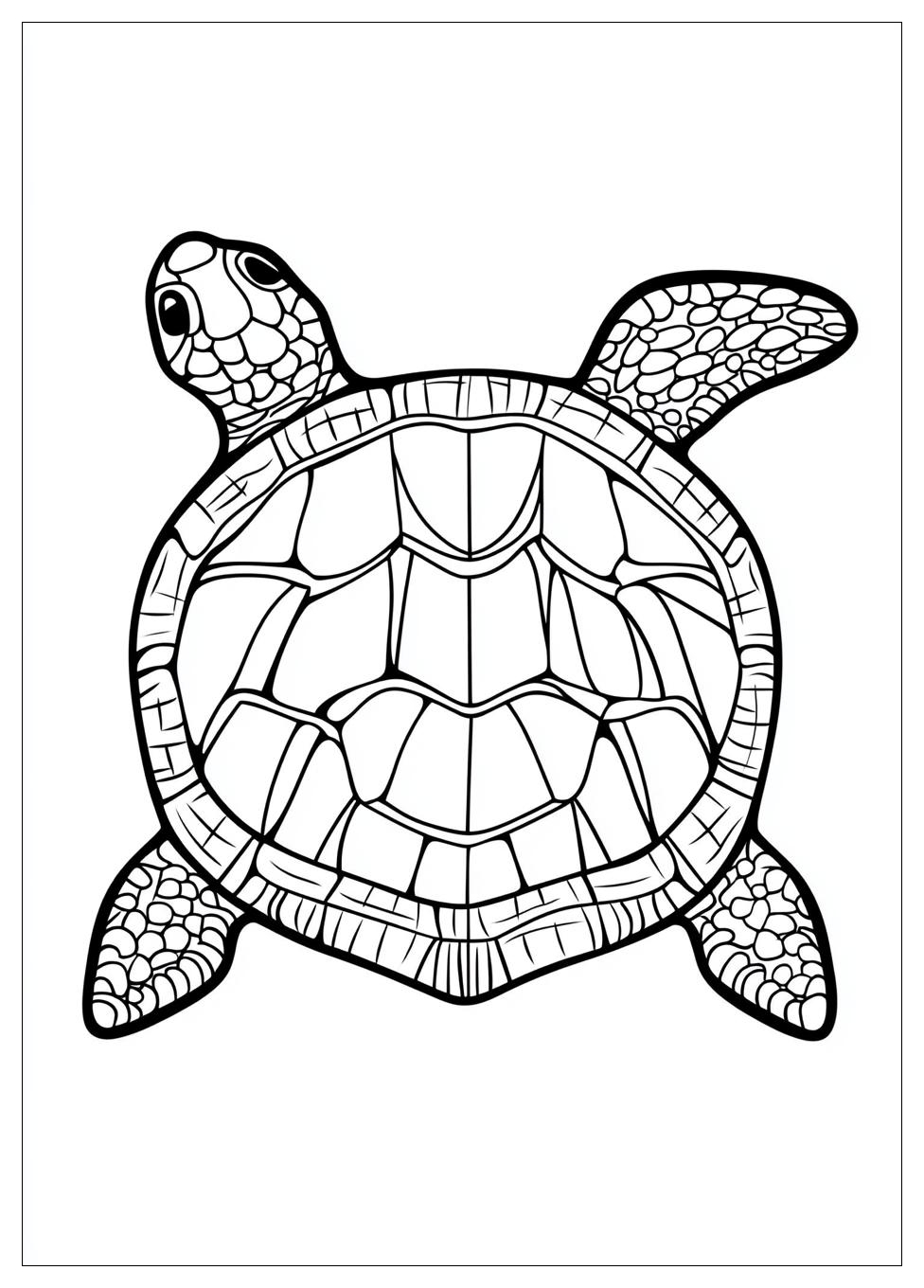 turtle_coloring_pages_16