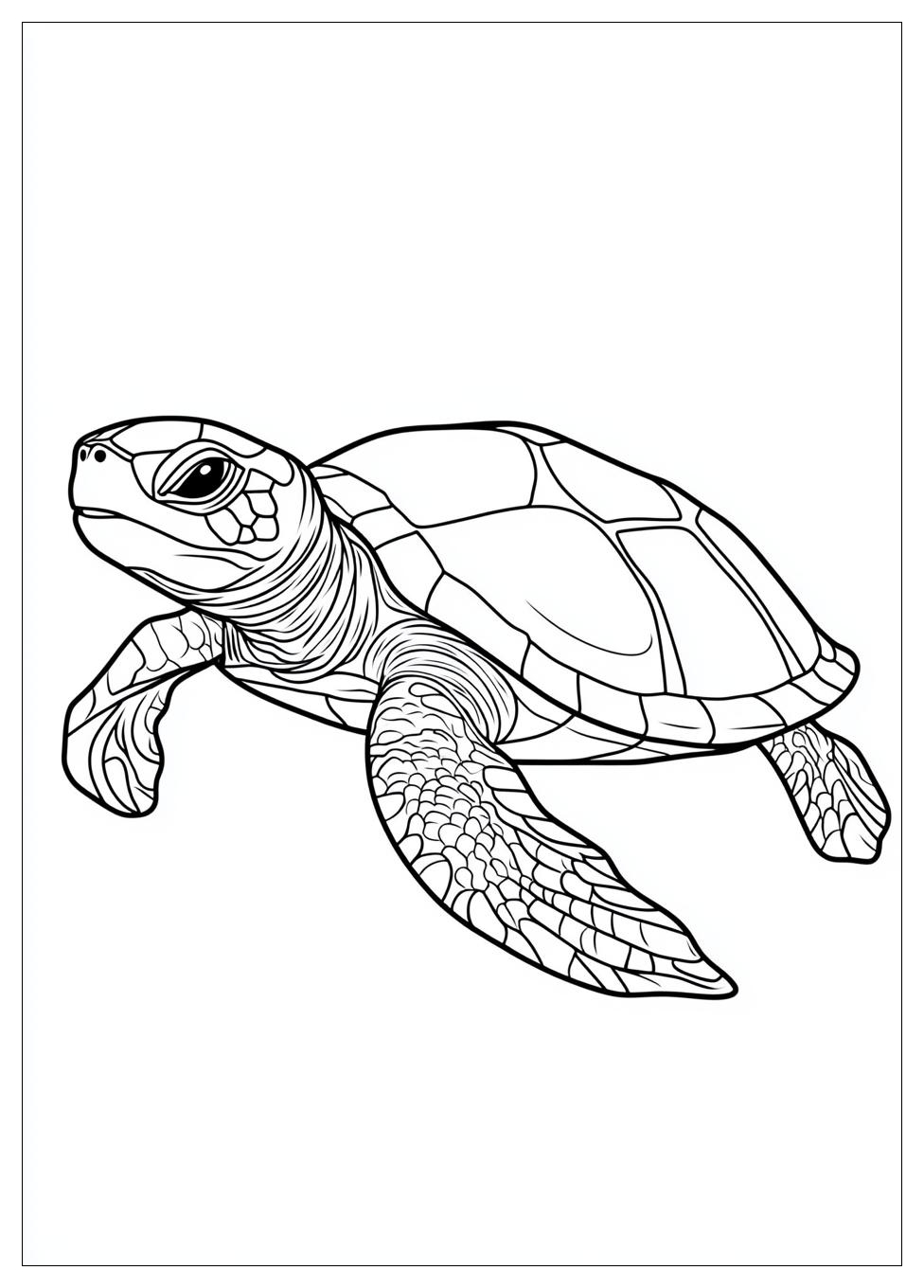 turtle_coloring_pages_20