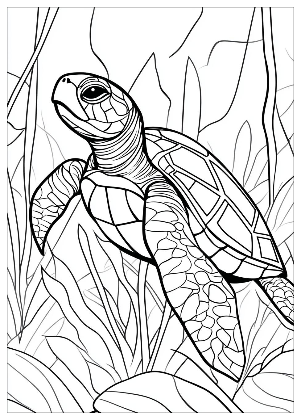 turtle_coloring_pages_3