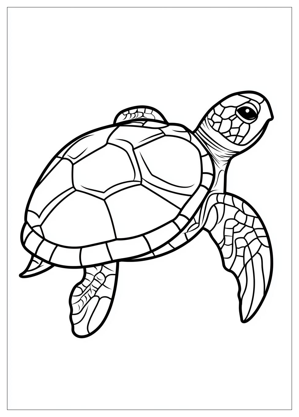 turtle_coloring_pages_5