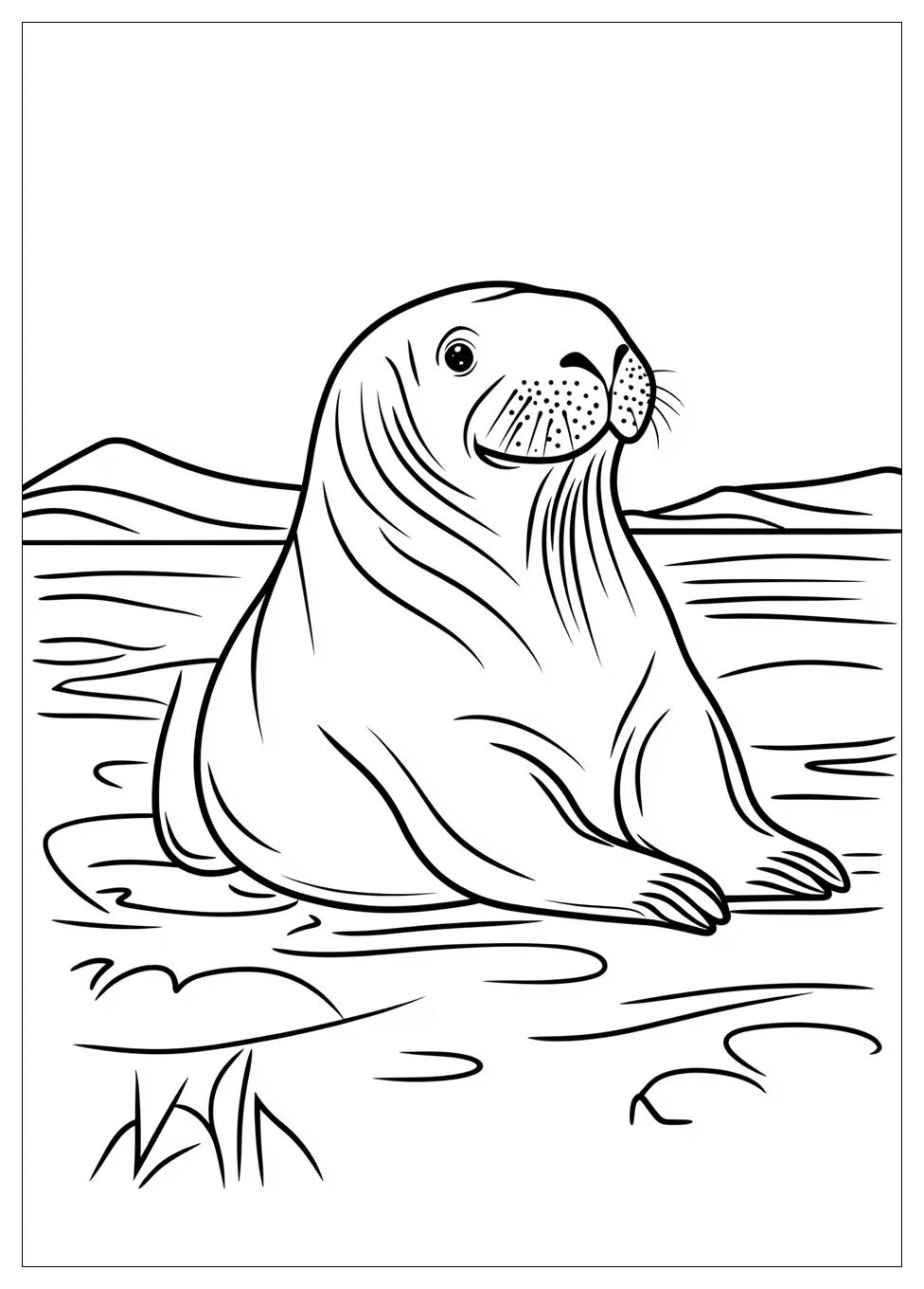 walrus_coloring_pages_11