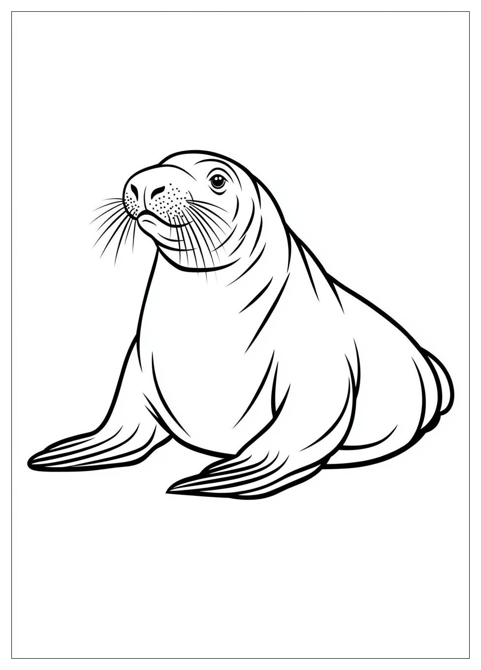 walrus_coloring_pages_12