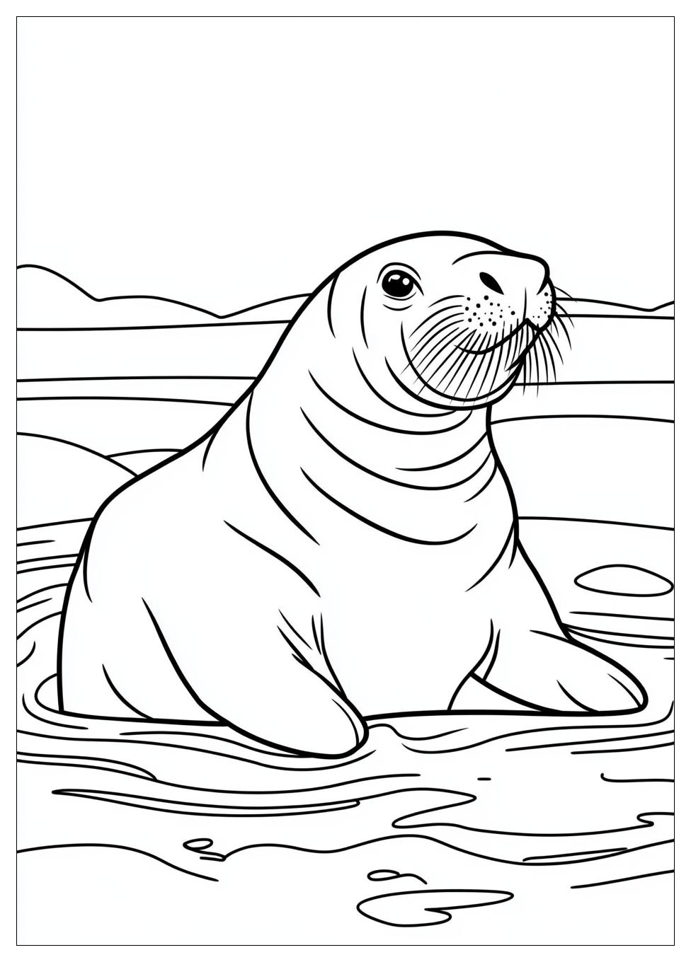 walrus_coloring_pages_14