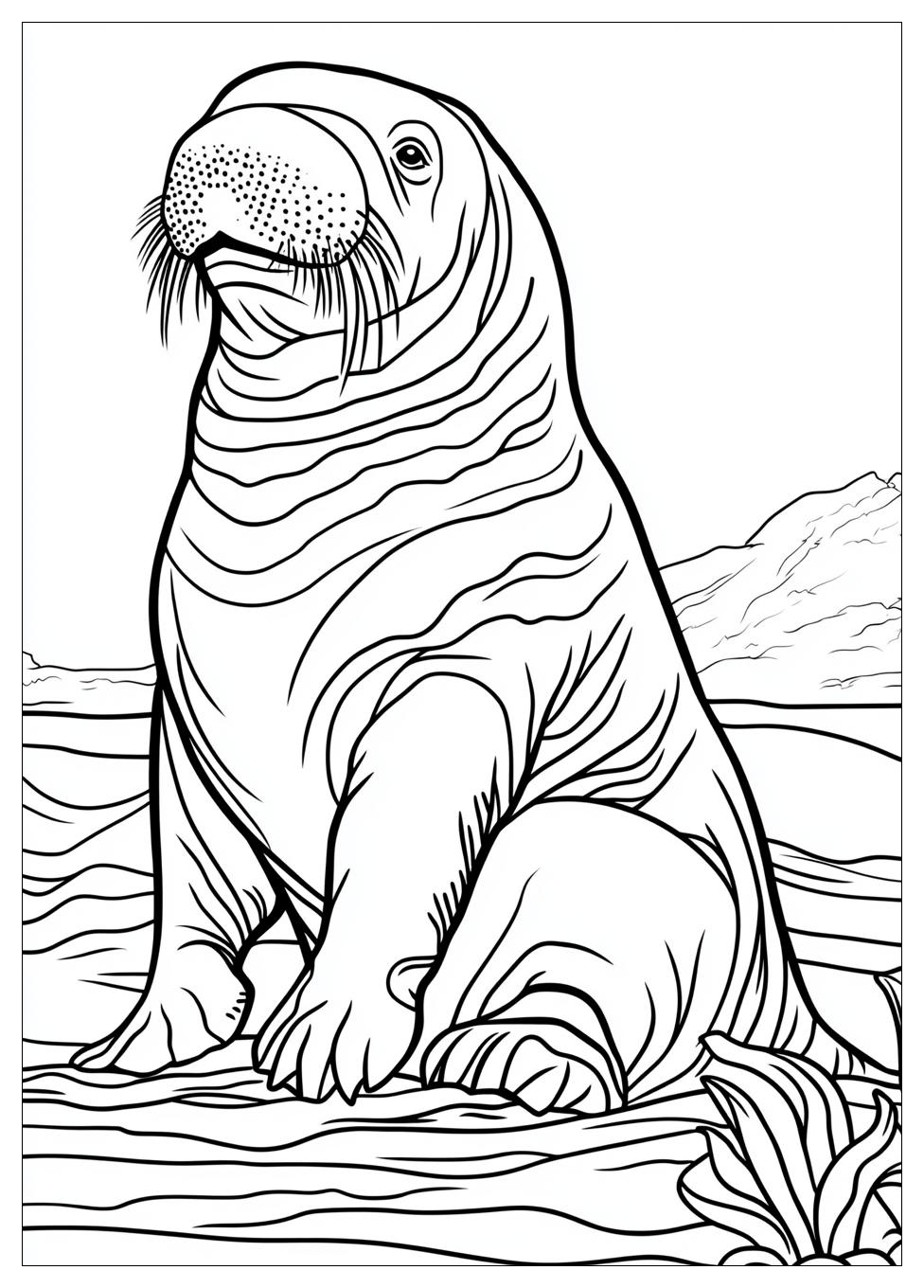 walrus_coloring_pages_15