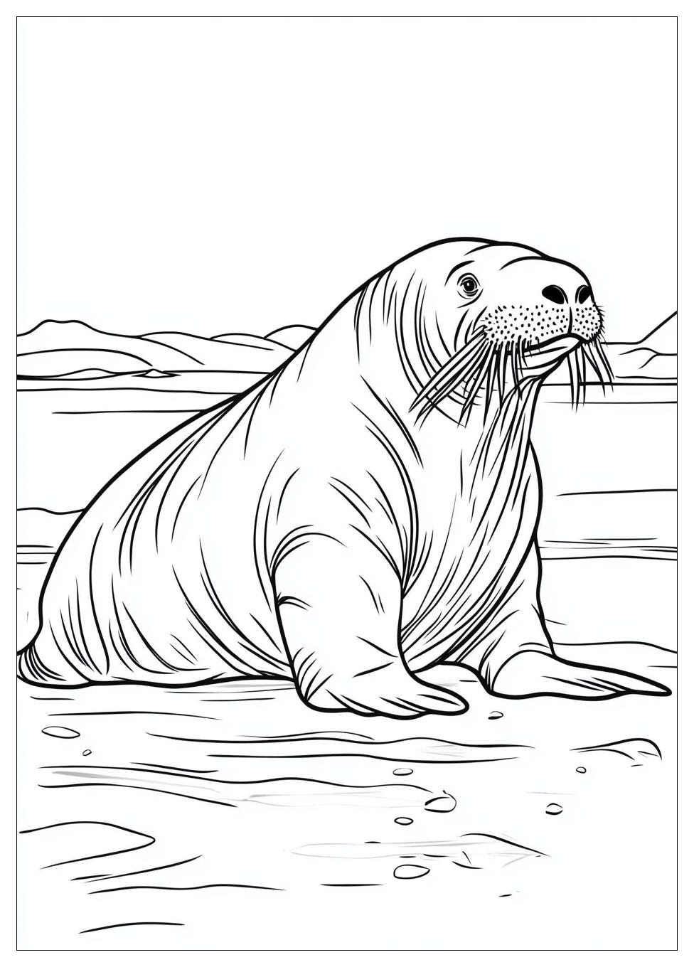 walrus_coloring_pages_17