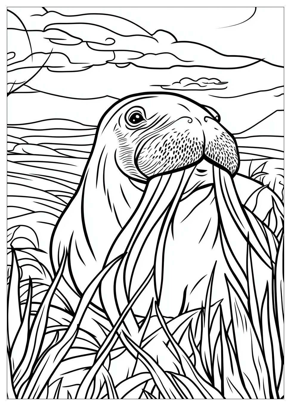 walrus_coloring_pages_20