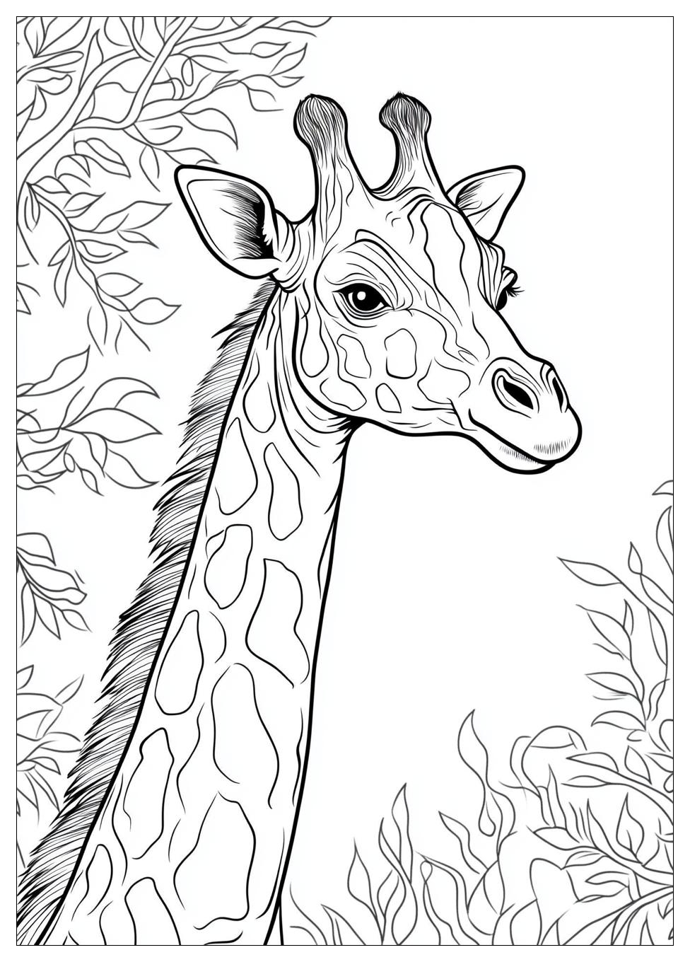 zoo_coloring_pages_22